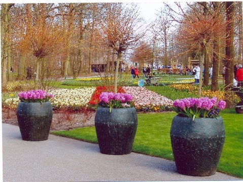 scan0016.jpg